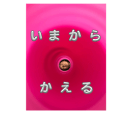 646917878