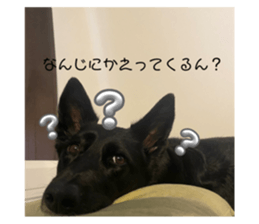 646966993