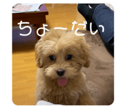 646968990