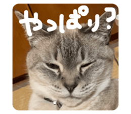 646981579