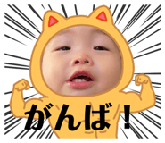 646984853