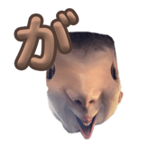 646990085