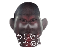 646990088