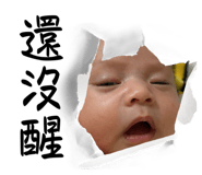 646991028