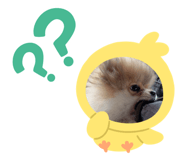 647009559
