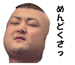 647019284