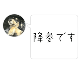 647023447