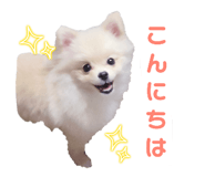 647025094
