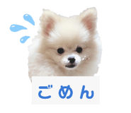 647025102