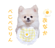 647025103