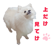 647025109