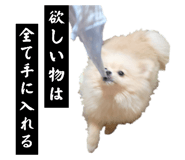 647025112