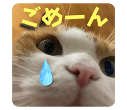 647038714