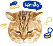 647064517