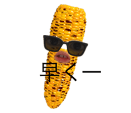 647088079
