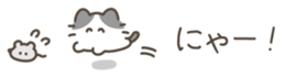 647141897