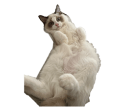 647197418