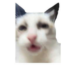 647197419
