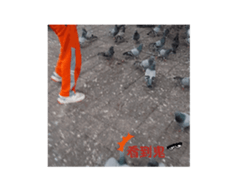 647208880