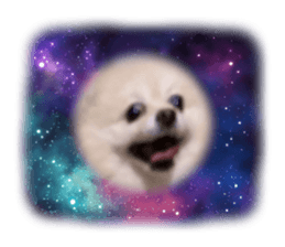 647210888