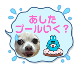 647213825