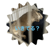 647218065