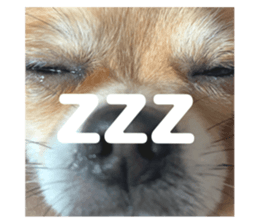 647231793