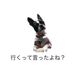 647247378