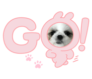 647253773