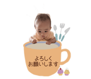 647254035