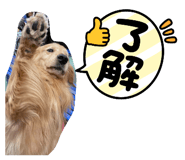 647258378