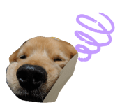 647258383