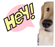 647258386