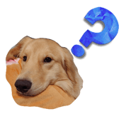 647258387