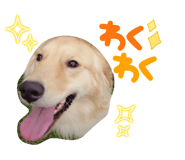647258388
