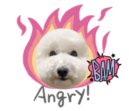 647278816