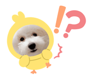 647278819