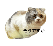 647281106