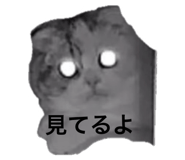 647281107