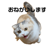 647281128