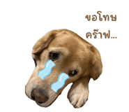 647281493