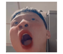 647310407