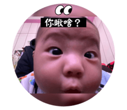 647310466