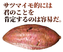 647338364