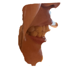647351952