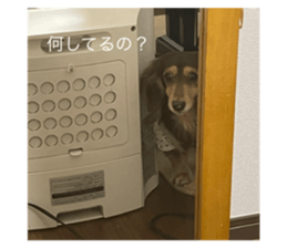647401987