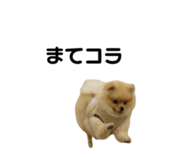 647405509