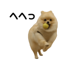 647405510