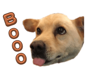 647411386