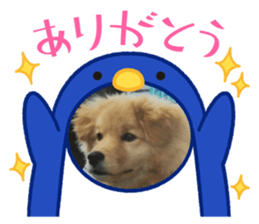 647411596